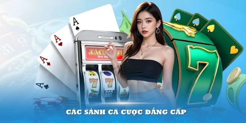 Các sảnh cá cược tại đây tạo nên sự đẳng cấp và uy tín của đơn vị