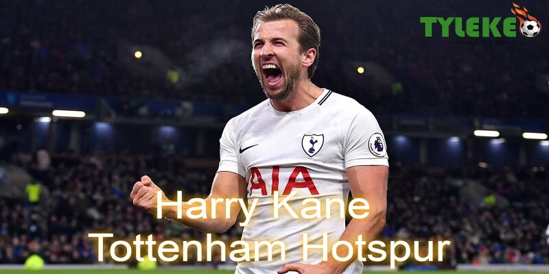 Harry Kane thi đấu dưới màu áo Tottenham Hotspur